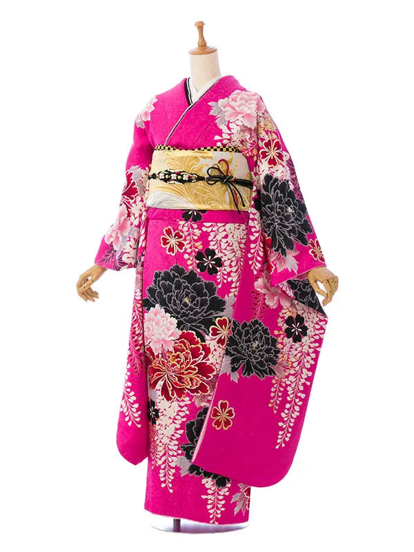 振袖 ・ 成人式 | 振袖（2月～12月利用） | HACA860000