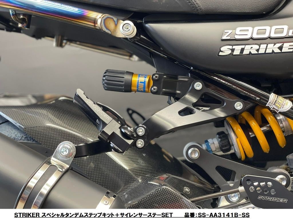 S2S TSR-D デザイラス スナイパー カスタム 改修品 10禁 S2S TSR-D