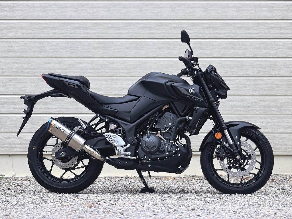 Webike | WR'S ダブルアールズ SS-OVALタイプ スリップオン【JMCA政府