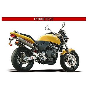 スペックAスリップオン2本出し - YAMAMOTO RACING(ヤマモトレーシング