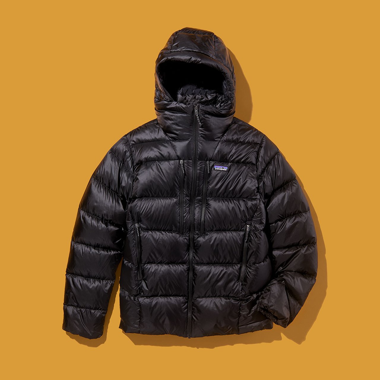 大人のパタゴニア】冬のおすすめ8選。究極の黒ダウンに新定番の薄軽