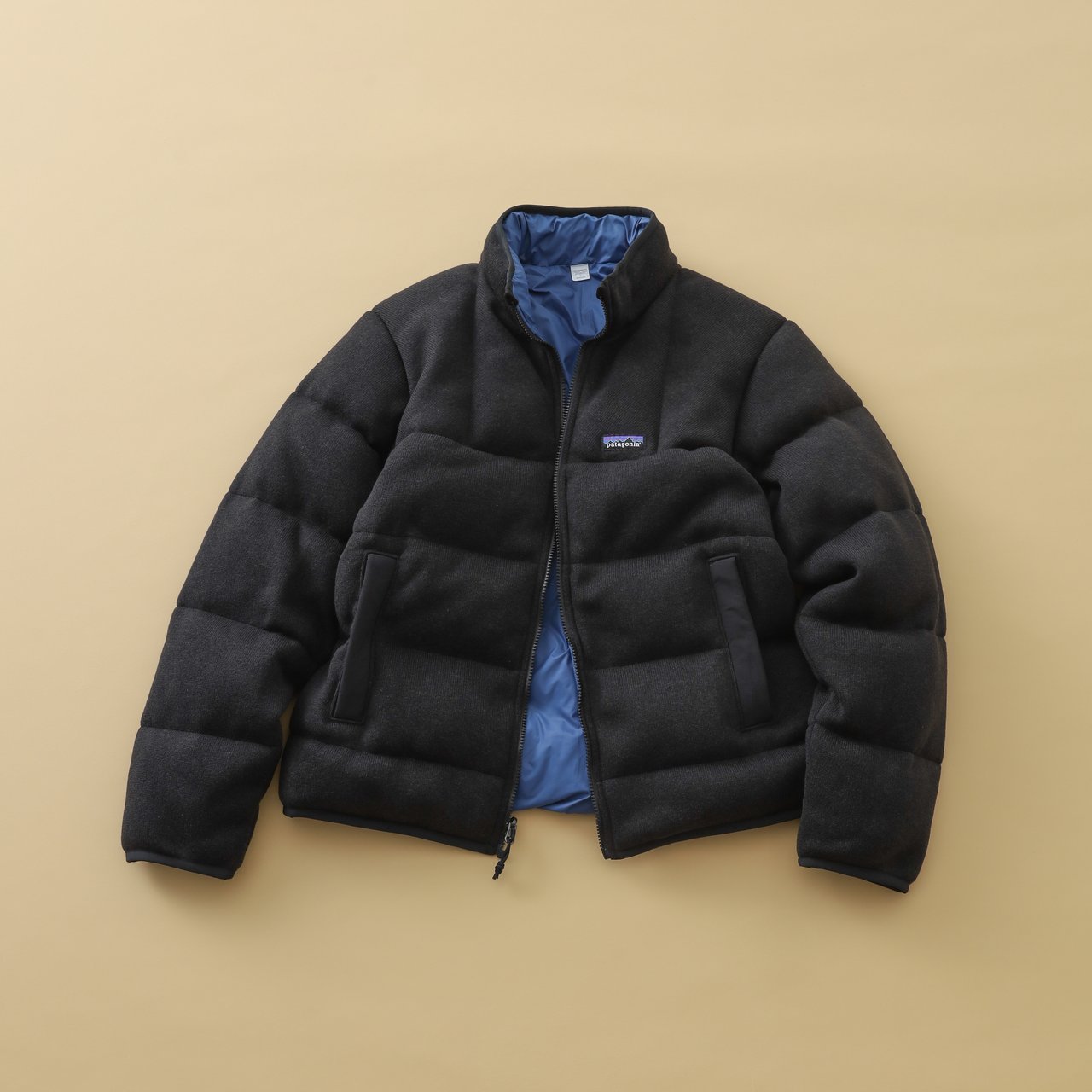 パタゴニア】大人のダウン200｜リサイクル・ダウン100％の使える