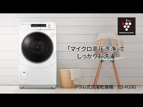ドラム式洗濯乾燥機 ホワイト系 ES-H10G-WL [洗濯10.0kg /乾燥6.0kg