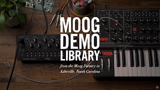 MOOG ( モーグ ) Spectravox 送料無料 | サウンドハウス