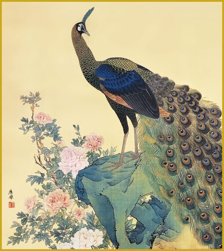 色紙 色紙掛けなし 色紙絵 和風 牡丹孔雀図 円山応挙 モダン 掛軸