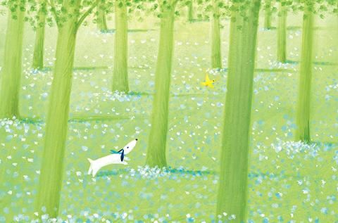 葉祥明ネットショップ - YOH SHOMEI NETSHOP