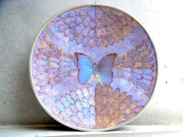 ブラジル モルフォ蝶 インテリア クラフト-メキシコ 民芸品 日用品