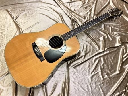 中古品 Cat's Eyes CE-600 / 1978 - Sunshine Guitar （サンシャイン