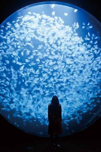 小浪次郎: Once and Again