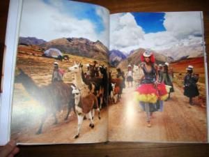 Stern Portfolio No.53 Mario Testino - BOOK OF DAYS ONLINE SHOP