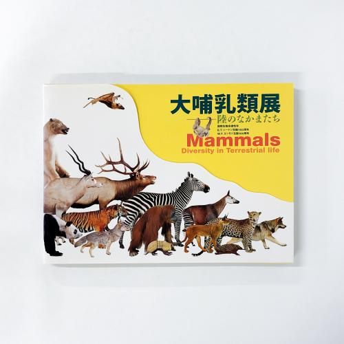 症状からみる 小動物の神経疾患 - ノースブックセンター販売