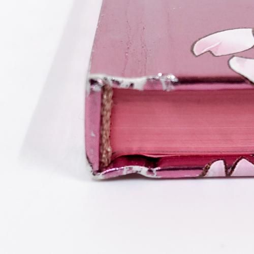 図録 | カードキャプターさくら展 | 魔法にかけられた美術館 - ノース