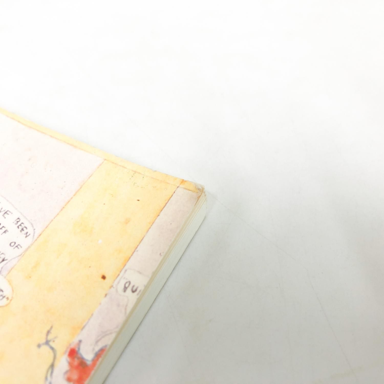 図録 | ヘンリー | ダーガー | 少女たちの戦いの物語 | 夢の楽園