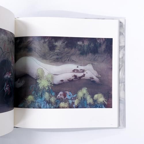 特装版 | 松井冬子画集 | 世界中の子と友達になれる - ノースブック