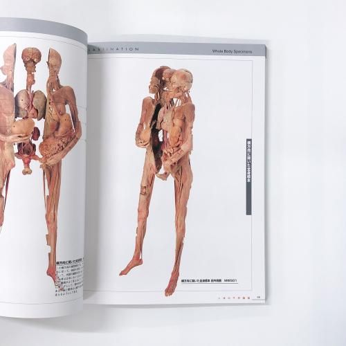 図録 | 人体の不思議展 | からだ＝未知なる小宇宙 - ノースブックセンター