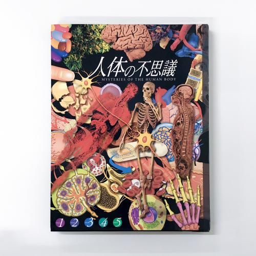 基礎医学書 - ノースブックセンター販売 《カタログ数1万点以上