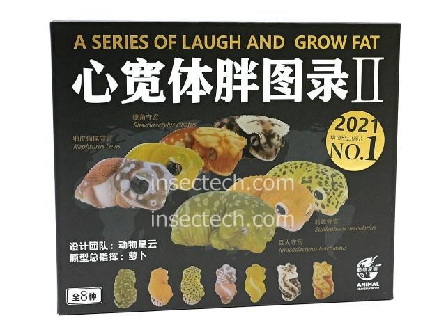 廃番国内在庫限り】【動物の惑星】オウカンミカドヤモリ（リリー