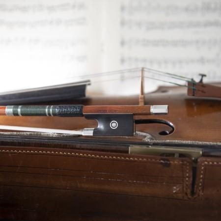 ARCHET PECCATTE TRAD-SL バイオリン弓 / アルシェ