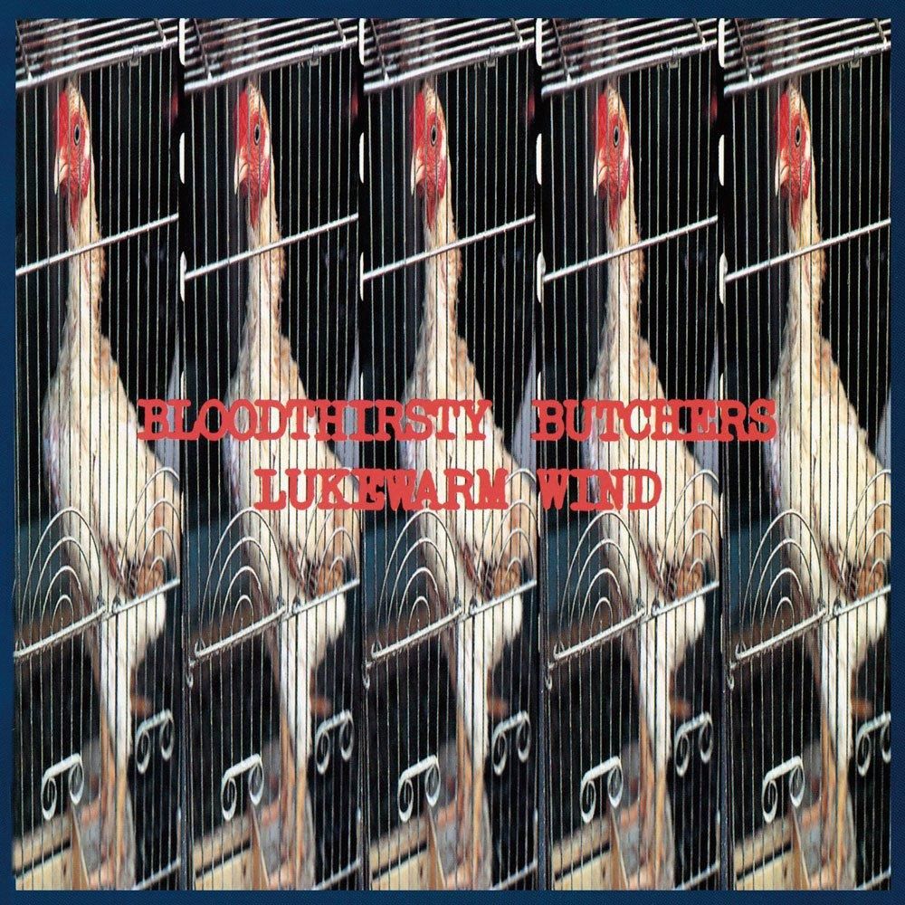 bloodthirsty butchers_[LUKEMARM WIND]LP - Believe Music STORE