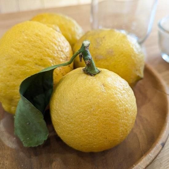 お茶やのレモン 3kg (約 24-30個) - 100％静岡茶「お茶の西村農園」