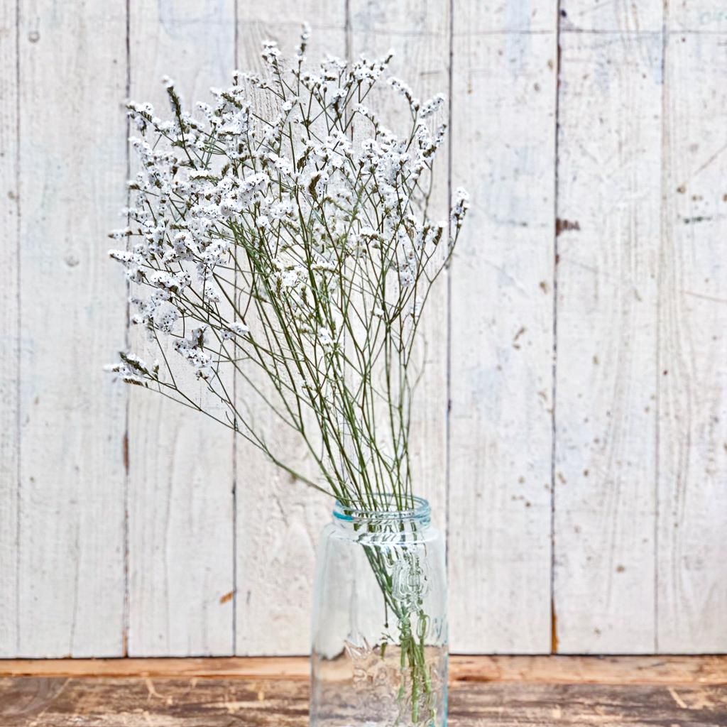 サマーチェリー ホワイト | ドライフラワー - ドライフラワー通販