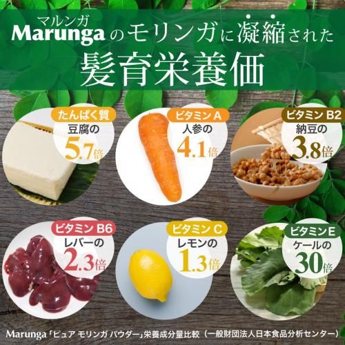 Moringa Botanical Conditioning Shampoo - ラブルネッサンス 公式
