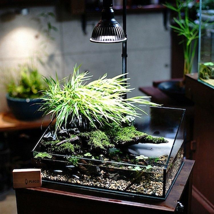 値下げ中！アマテラス-10W + ライトスタンド + ライトカバー 2セット