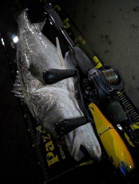 スタジオコンポジット VOLTA（ボルタ） 235 RTM - FISHING SERVICE MAREBLE