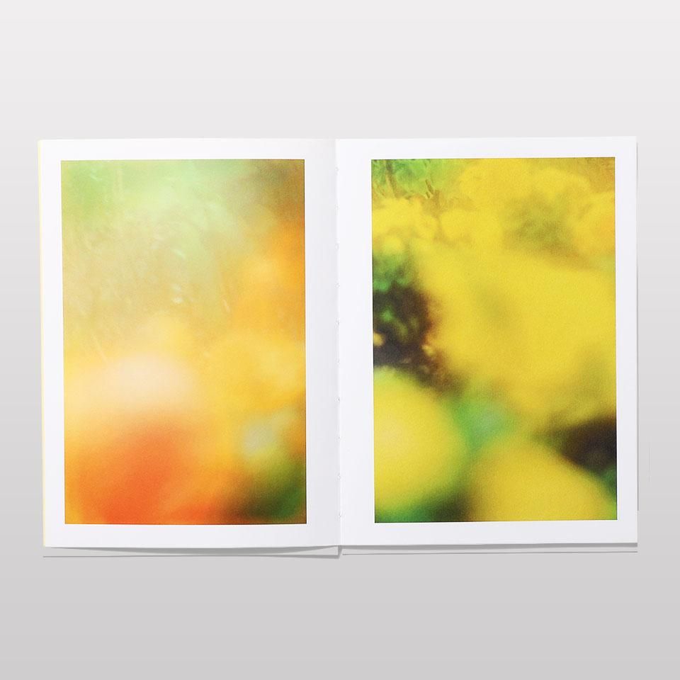 再入荷】The Autumns of Spring - BOOK AND SONS オンラインストア