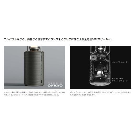 SHARP ポータブルスピーカーランタン DL-FS01L-S オリーブシルバー