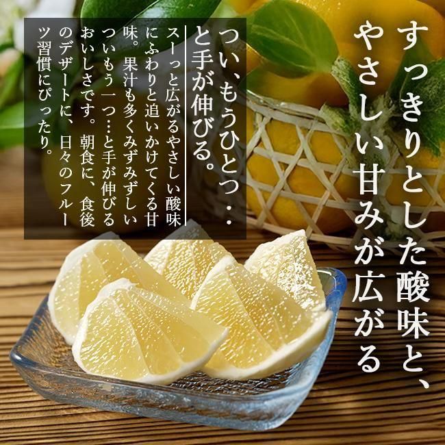 ニューサマーオレンジ | 訳あり5kg - 《公式》ときわオンライン 農家