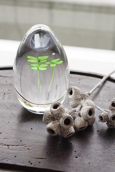 イイノナホ - Porta nova online store