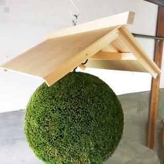 杉玉 - 杉玉の高林 オンラインストア