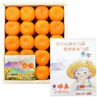 桜島小みかん|2kg - 【かごしまぐるり】鹿児島の名物・特産品を通販で