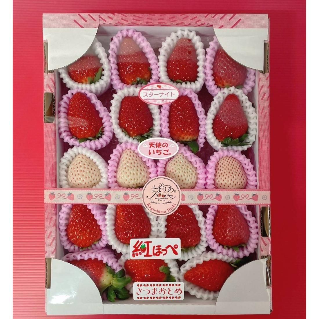 紅白いちご食べ比べ | ままりあ農園 - 【かごしまぐるり】鹿児島の名物