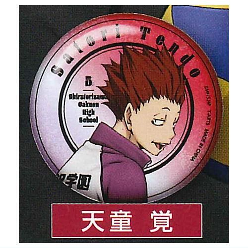 ハイキュー!! 振り向きシャイニー缶バッジ [8.天童覚],タカラトミー