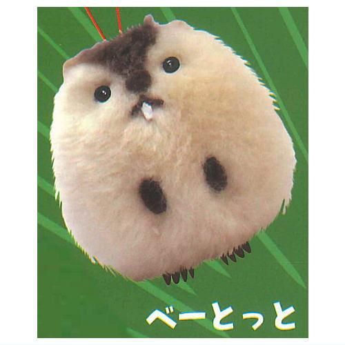 三毛 ページ】もっとっと 2点 三毛 ページ】もっとっと 2点 ≪7月の新