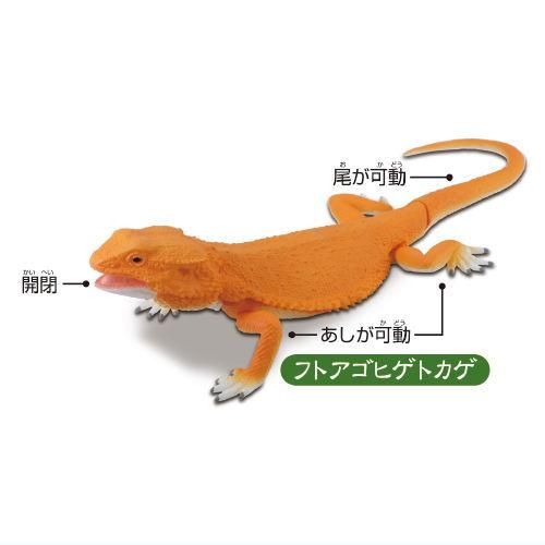 あそべる生物フィギュアシリーズ トカゲキングダム 巨大トカゲ登場