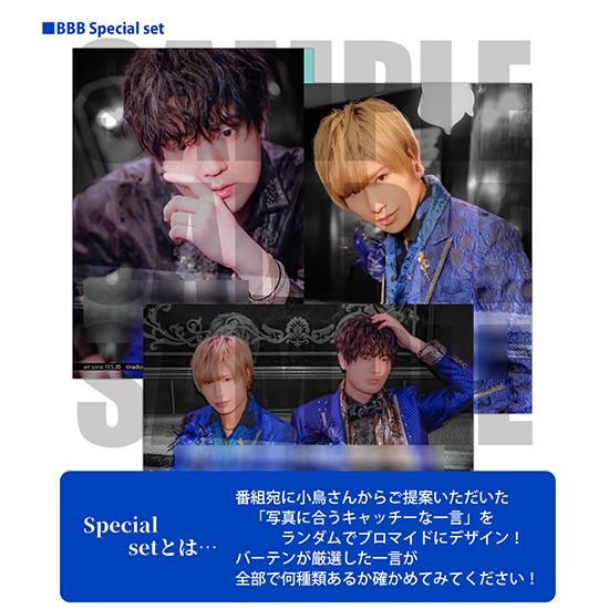 art sonic FES.20】ブロマイドセット（Special）／BBB
