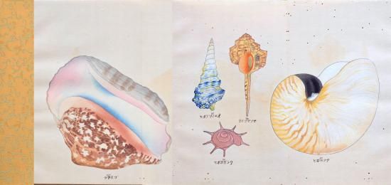 貝千種 全4冊揃い Kai Sensyu vol.1～4 Various shellfish - 赤尾照文