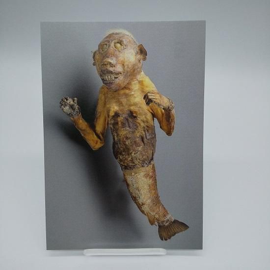 ポストカード 人魚のミイラ - 国立歴史民俗博物館ミュージアムショップ