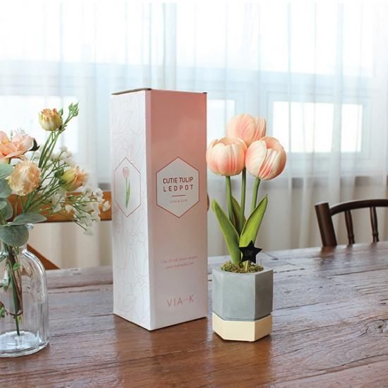 WEB Special】キューティーチューリップポットLED/ピーチ - VIA K