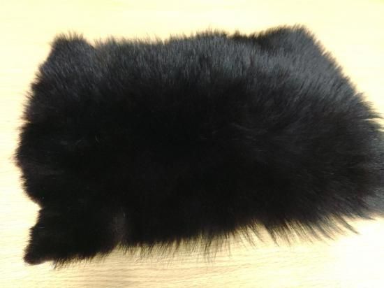 ツキノワグマ - 秋田内陸線WEBショップ｜笑（EMI）