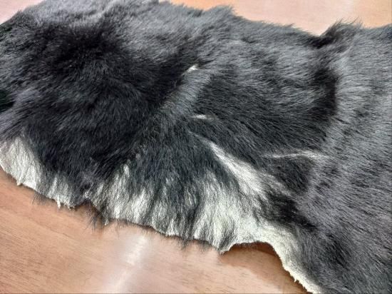 ツキノワグマ - 秋田内陸線WEBショップ｜笑（EMI）