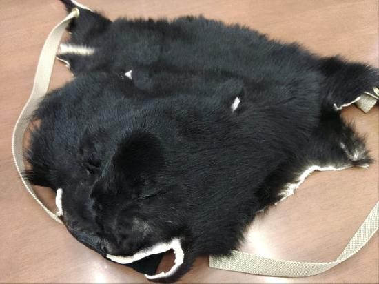 ツキノワグマ - 秋田内陸線WEBショップ｜笑（EMI）