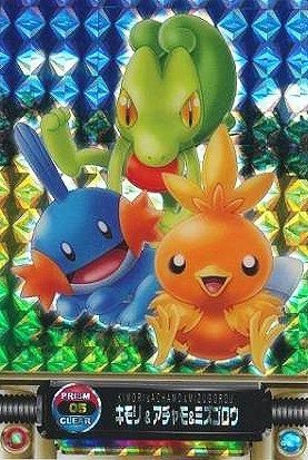 ポケモンずかんカード キモリ&アチャモ&ミズゴロウ プリズム-旧