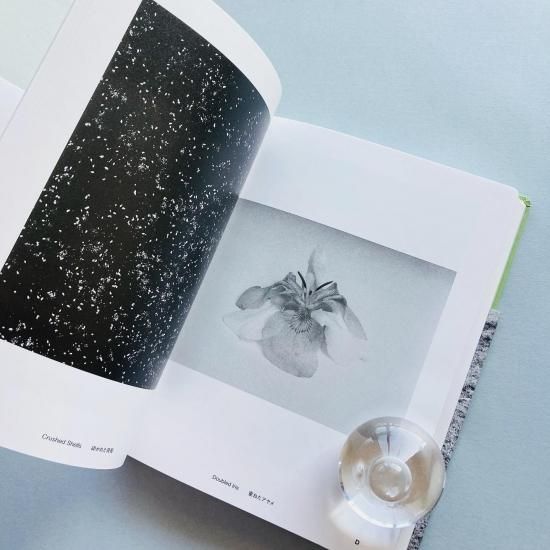 Field Guide｜Jochen Lempert ヨヘン・レンペルト