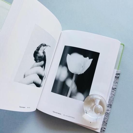 Field Guide｜Jochen Lempert ヨヘン・レンペルト