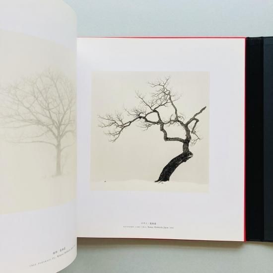 日本 JAPAN｜Michael Kenna マイケル・ケンナ