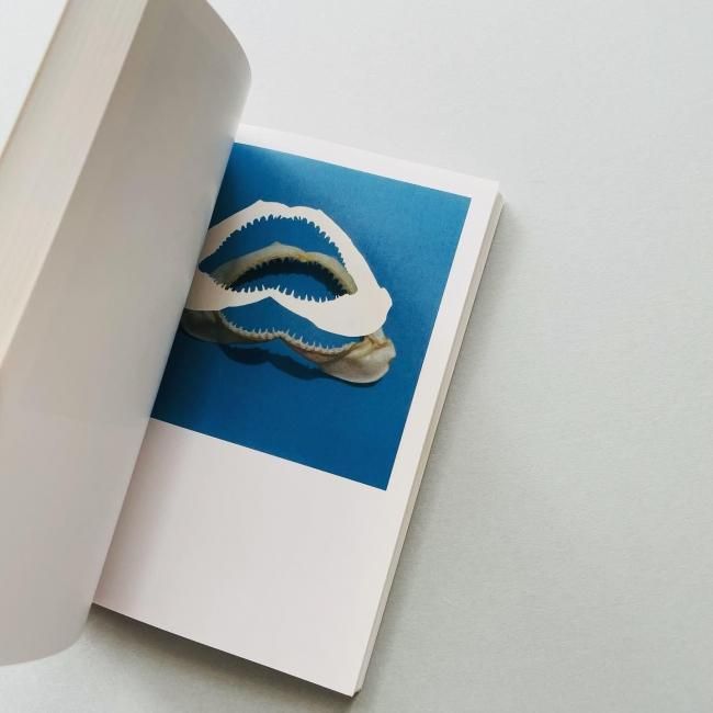 The Mushroom Collector | Jason Fulford ジェイソン・フルフォード